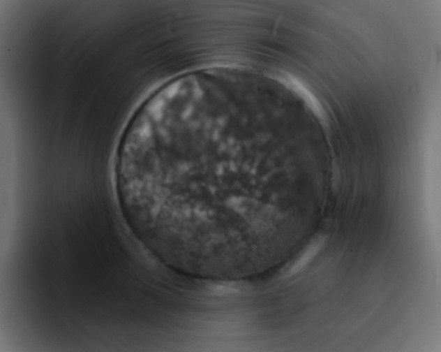 X0000092080899200710031134