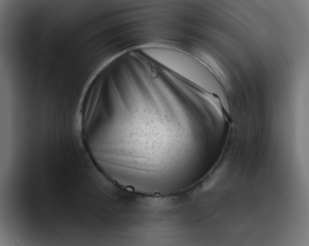 X0000092080900200710031134