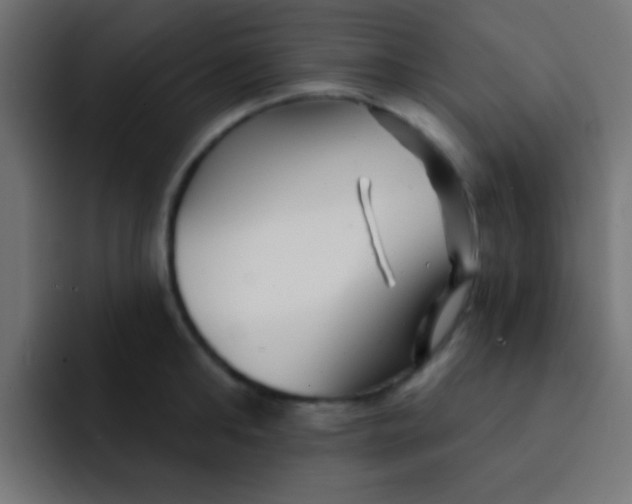 X0000092080902200710031134