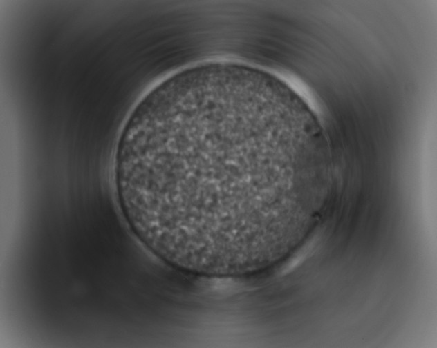 X0000092080903200710031134