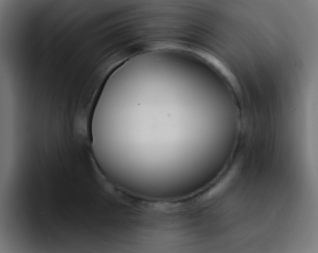 X0000092080905200710031134