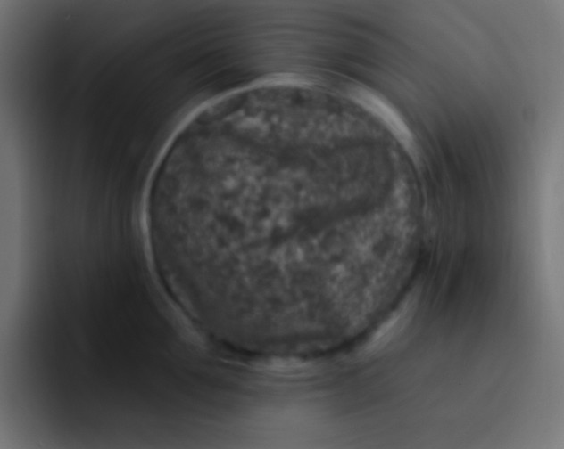 X0000092080907200710031134