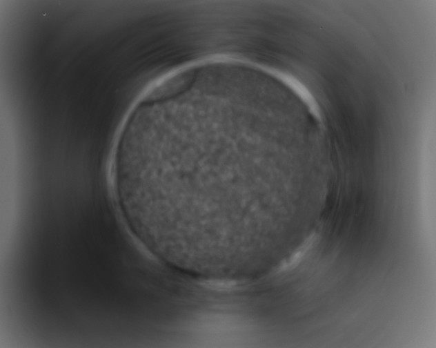 X0000092080911200710031134