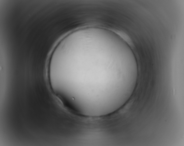 X0000092080912200710031134