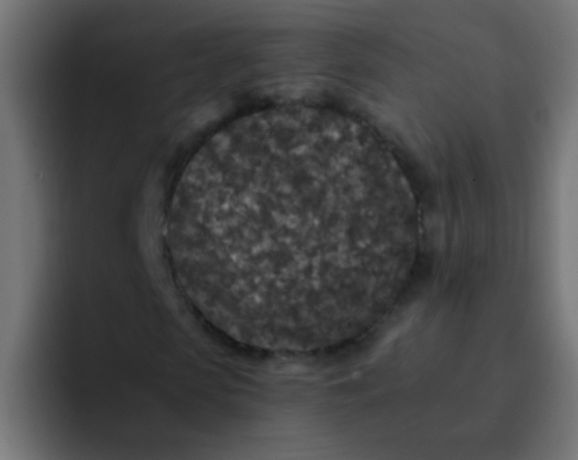 X0000092080913200710031133