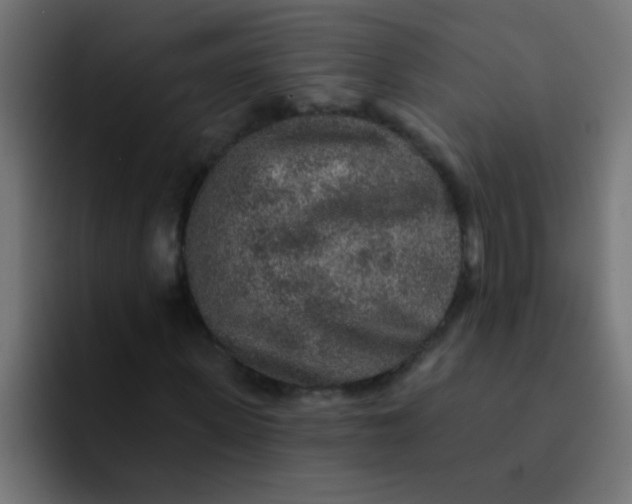 X0000092080915200710031133