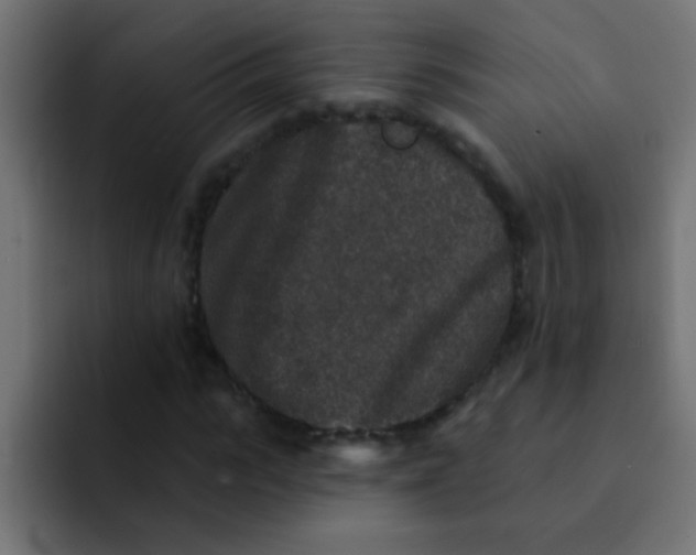 X0000092080919200710031133