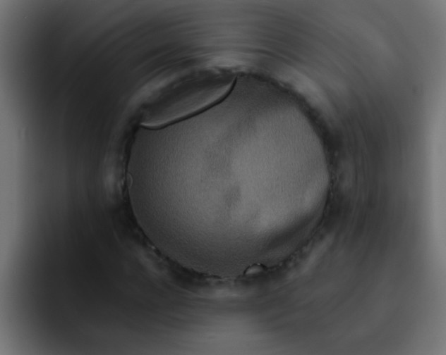 X0000092080920200710031133