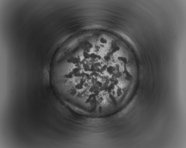 X0000092080921200710031134