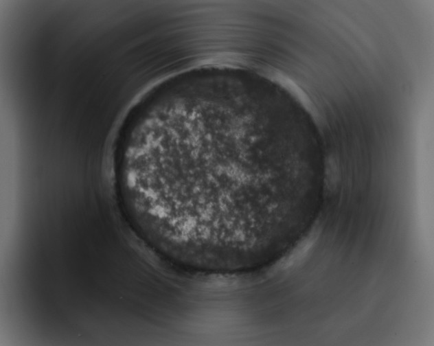 X0000092080923200710031134