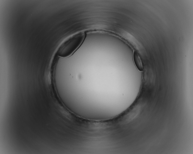 X0000092080924200710031134