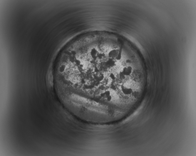 X0000092080925200710031134