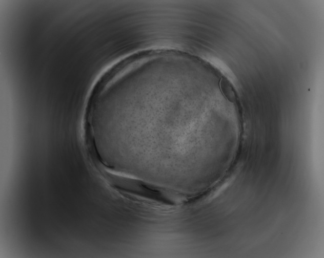 X0000092080928200710031134