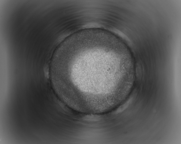 X0000092080929200710031134