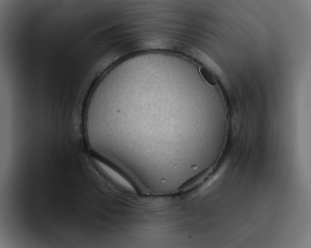 X0000092080930200710031134