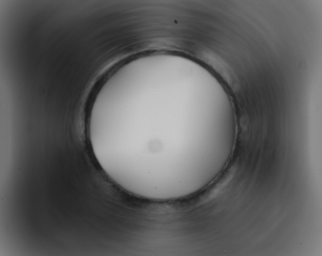 X0000092080931200710031134