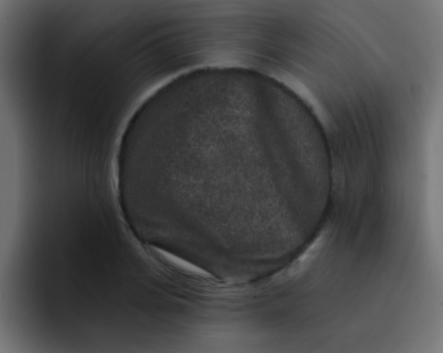 X0000092080935200710031134