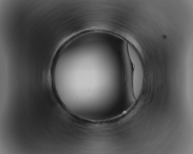 X0000092080936200710031134