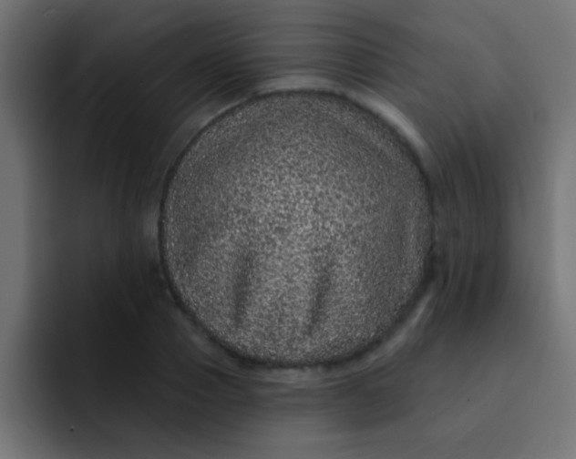 X0000092080937200710031134