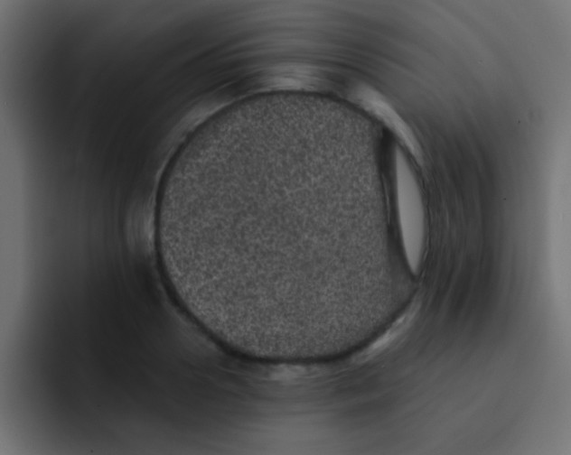 X0000092080938200710031134