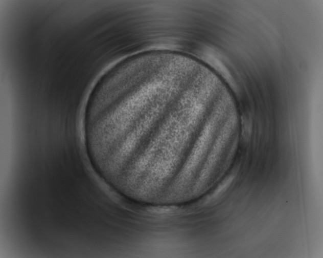 X0000092080939200710031134