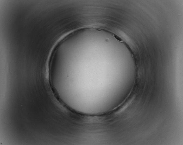 X0000092080940200710031134