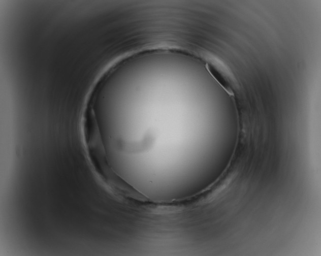 X0000092080942200710031134