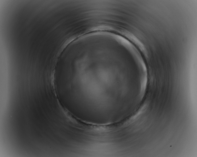 X0000092080945200710031134