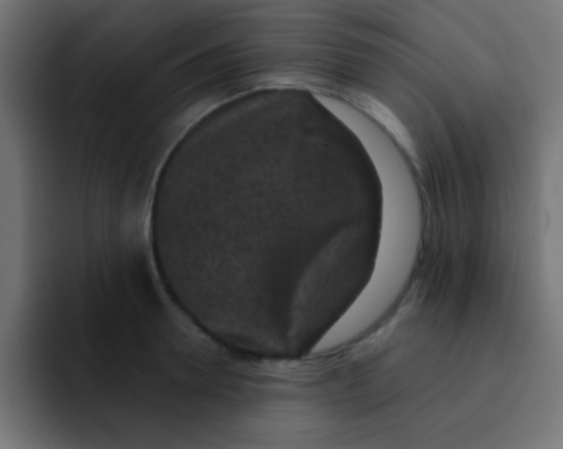 X0000092080946200710031134