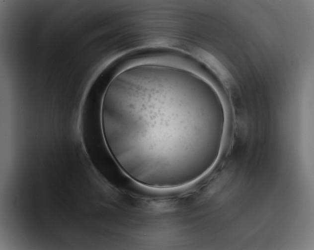 X0000092080948200710031134