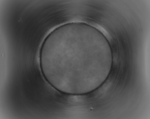 X0000092080950200710031134