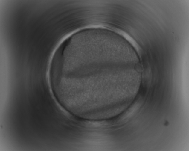 X0000092080951200710031134