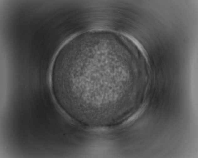 X0000092080957200710031134