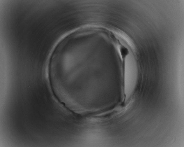 X0000092080958200710031134