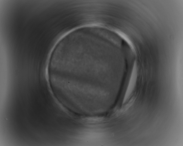 X0000092080959200710031134