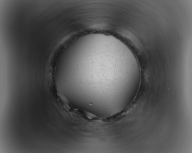 X0000092080968200710031133