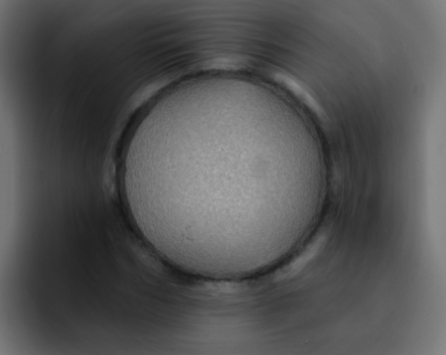 X0000092080970200710031133