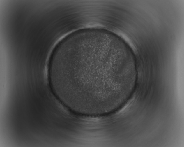 X0000092080975200710031133