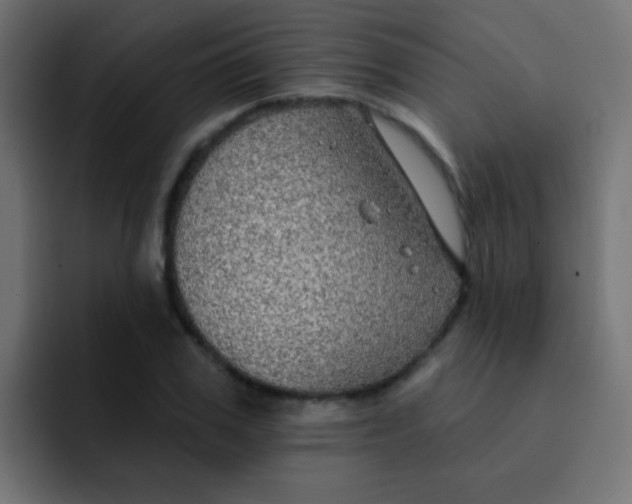 X0000092080979200710031133