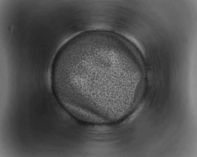 X0000092080983200710031133