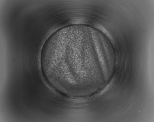 X0000092080986200710031133