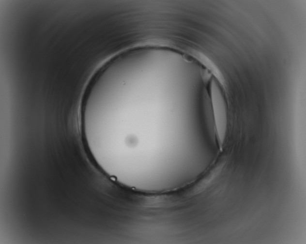 X0000092080988200710031133