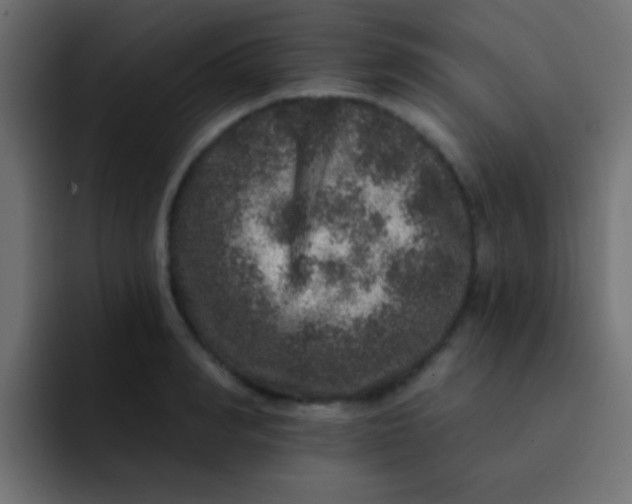 X0000092080990200710031133