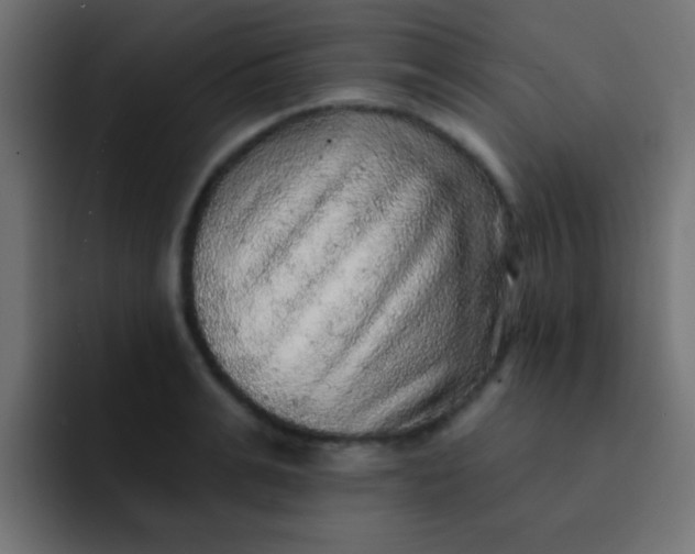 X0000092080991200710031133