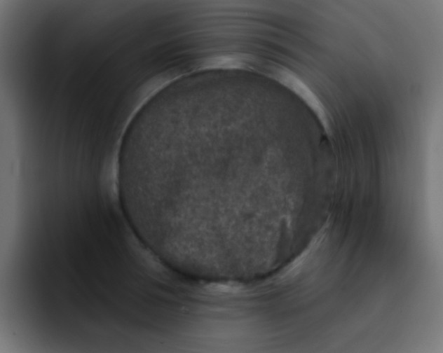 X0000092080994200710031133