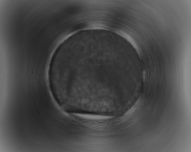 X0000092080995200710031133