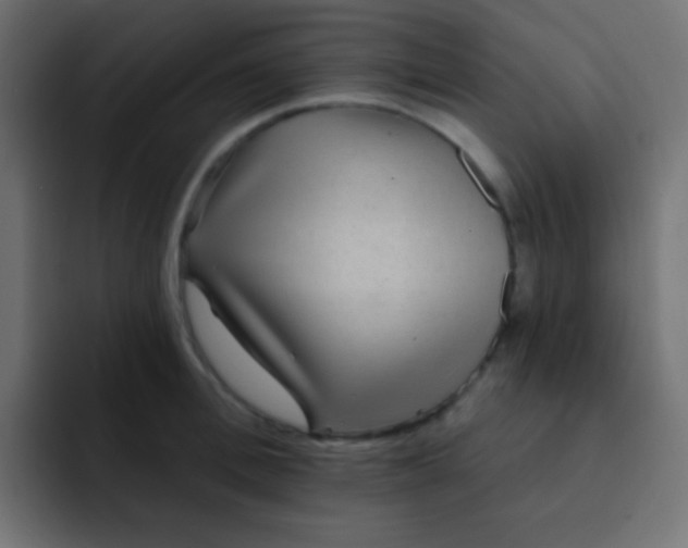 X0000092080996200710031133