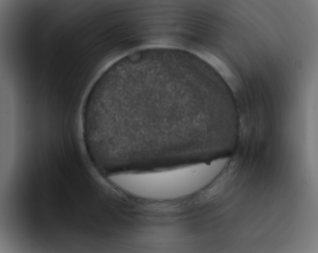 X0000092080998200710031133