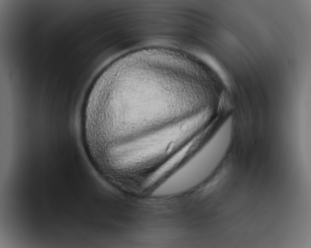 X0000092080999200710031133