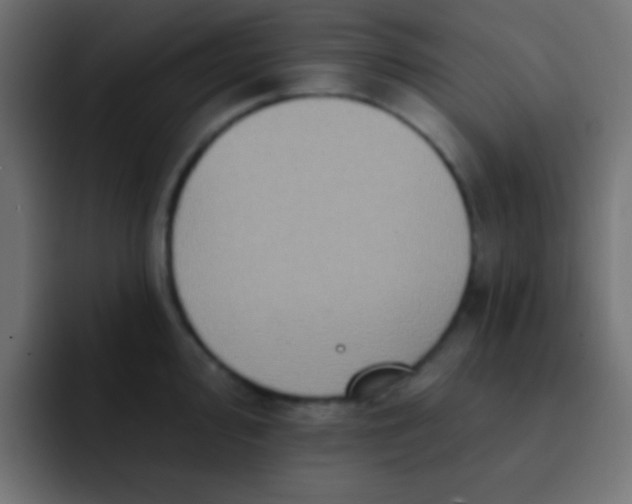 X0000092081000200710031133